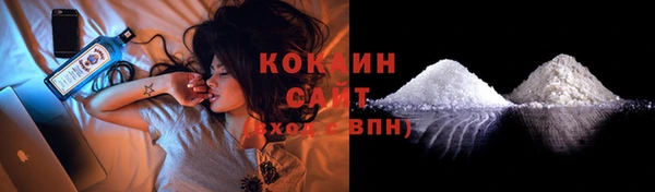 шишки Вязьма