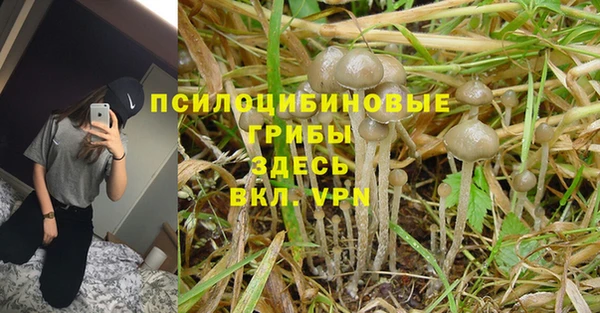mdpv Володарск