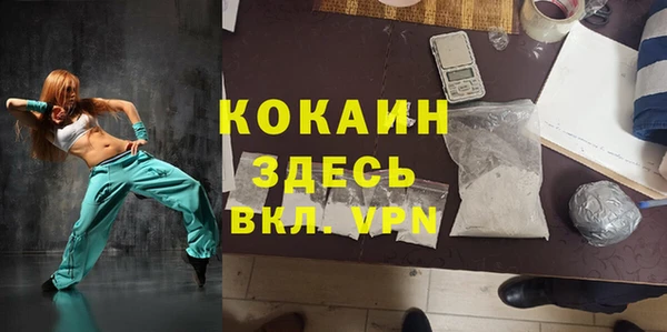 шишки Вязьма