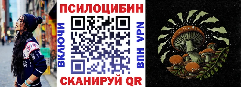 хочу наркоту  Зуевка  OMG ССЫЛКА  Псилоцибиновые грибы Psilocybe 